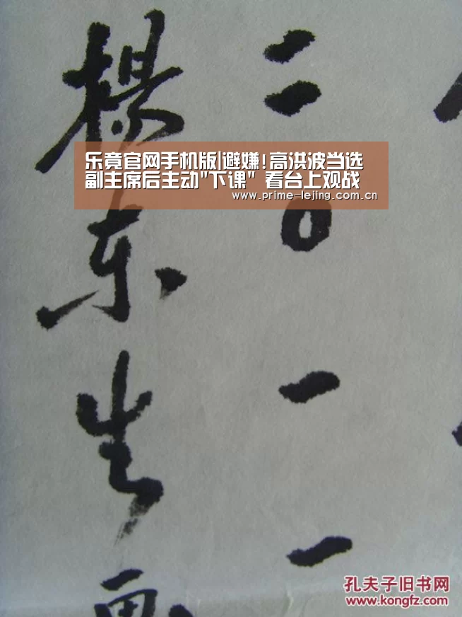 乐竟官网入口