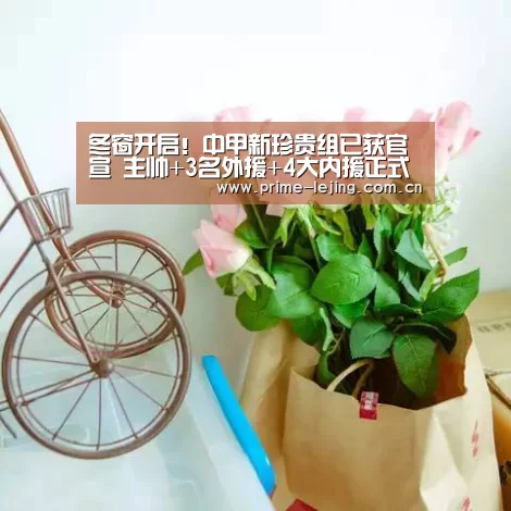 乐竟官网入口